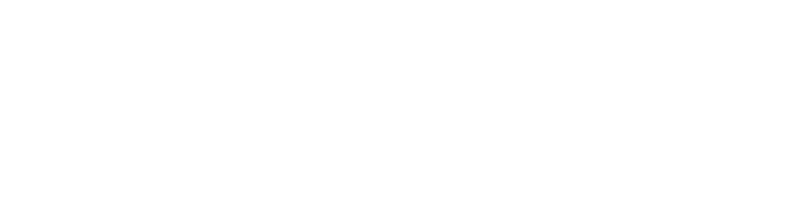 BOSS paints